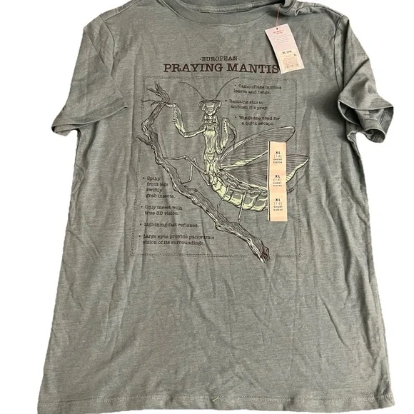 NWT Boys Graphic Tee Shirt Bundle Size XL - Picture 3 of 4